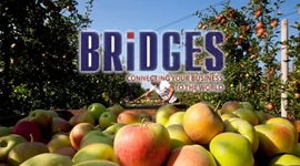 Рамос на садівничому форумі BRIDGES Рамос на садівничому форумі BRIDGES